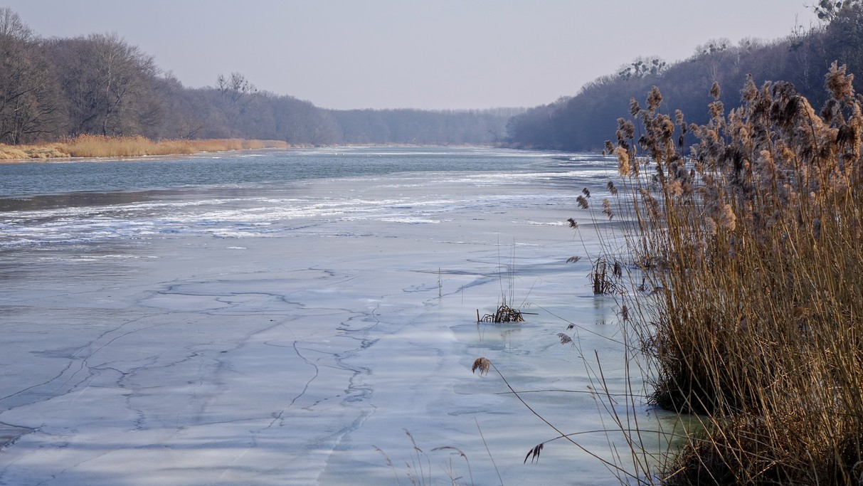 Marzec w obiektywie - zdjęcie 19