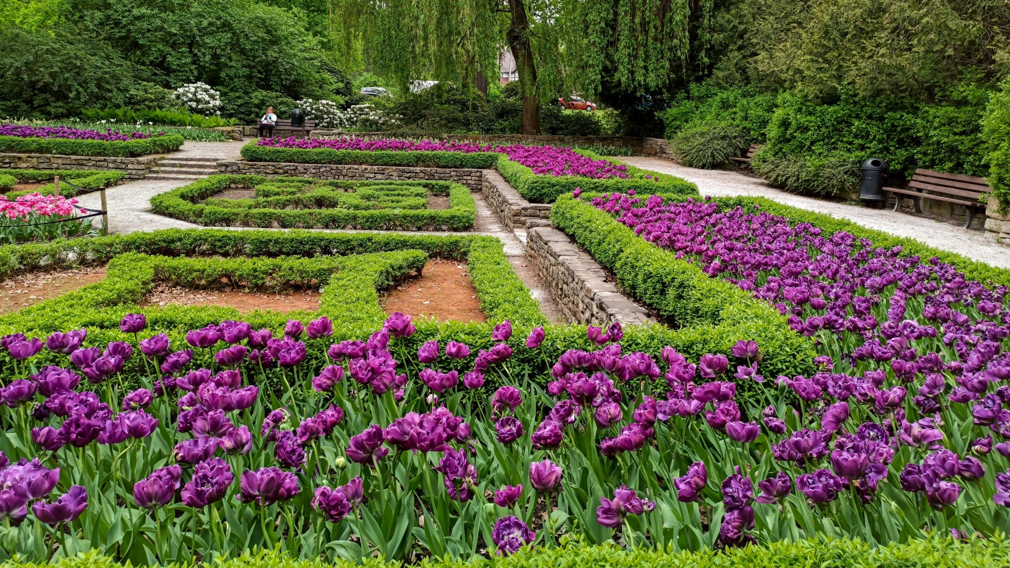 Całe piękno późnej wiosny - zdjęcie 18