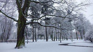 04.03.2021 09:00 Wraca zima. Sprawdź, kiedy i ile spadnie śniegu w Twojej okolicy i jak duży będzie mróz