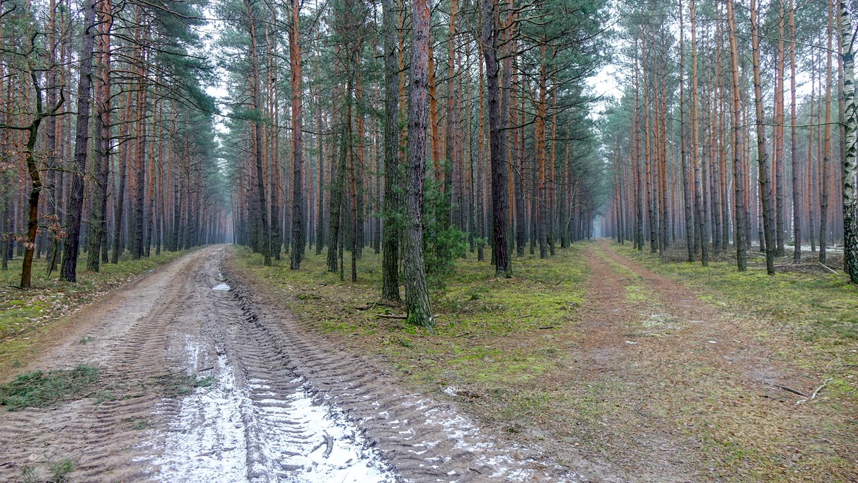 Styczeń w obiektywie - zdjęcie 40