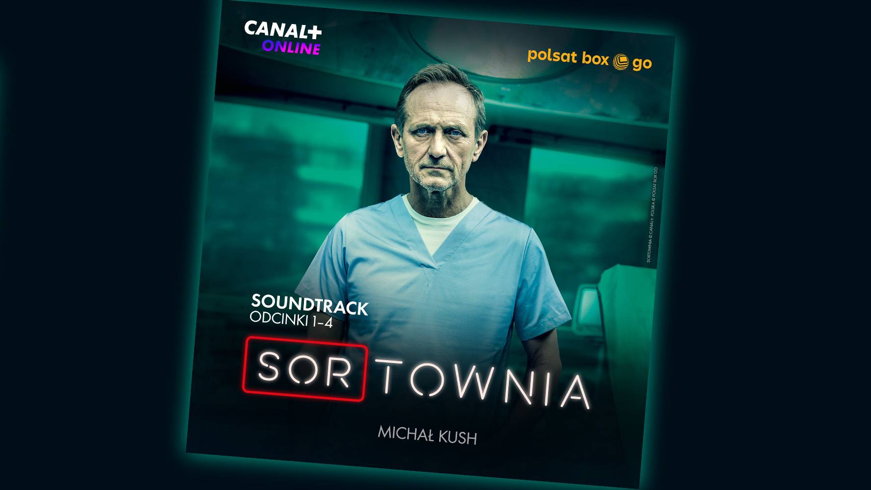 Sortownia: Soundtrack serialu w serwisach streamingowych - Polsat.pl