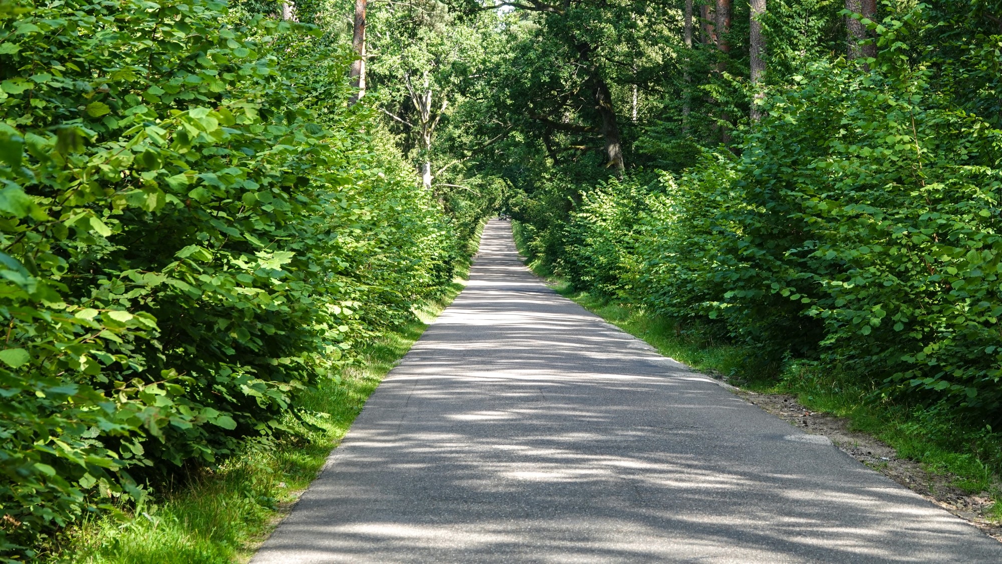 Na pożegnanie lata - zdjęcie 29