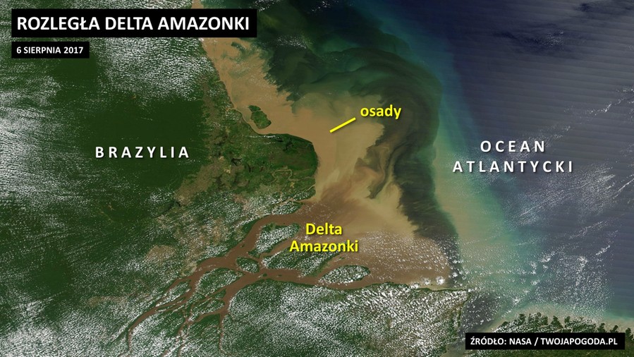 Malownicza delta Amazonki