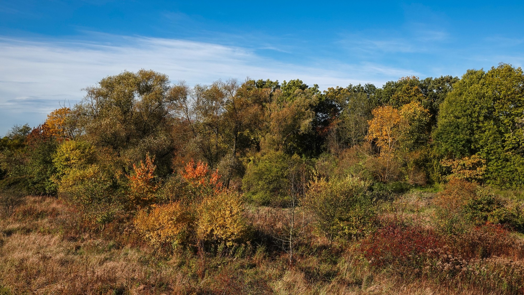 Wszystkie barwy jesieni - zdjęcie 58