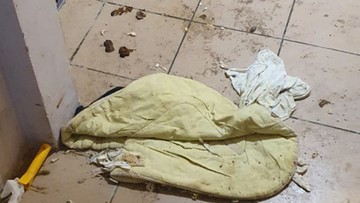 Psie odchody na ziemi, pusta lodówka. Niemowlę trafiło do rodziny zastępczej