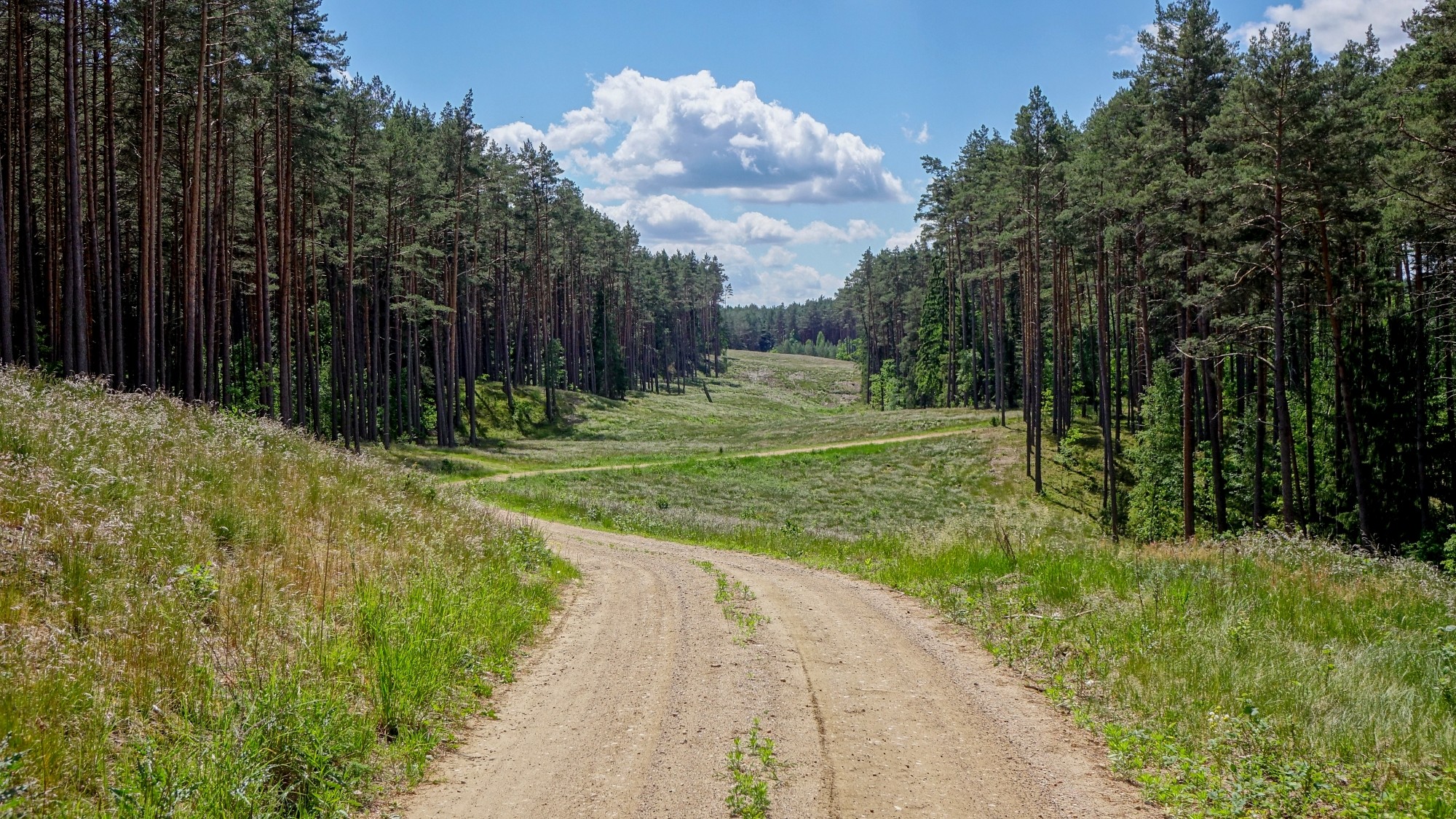 Urocze zakątki w lasach - zdjęcie 13