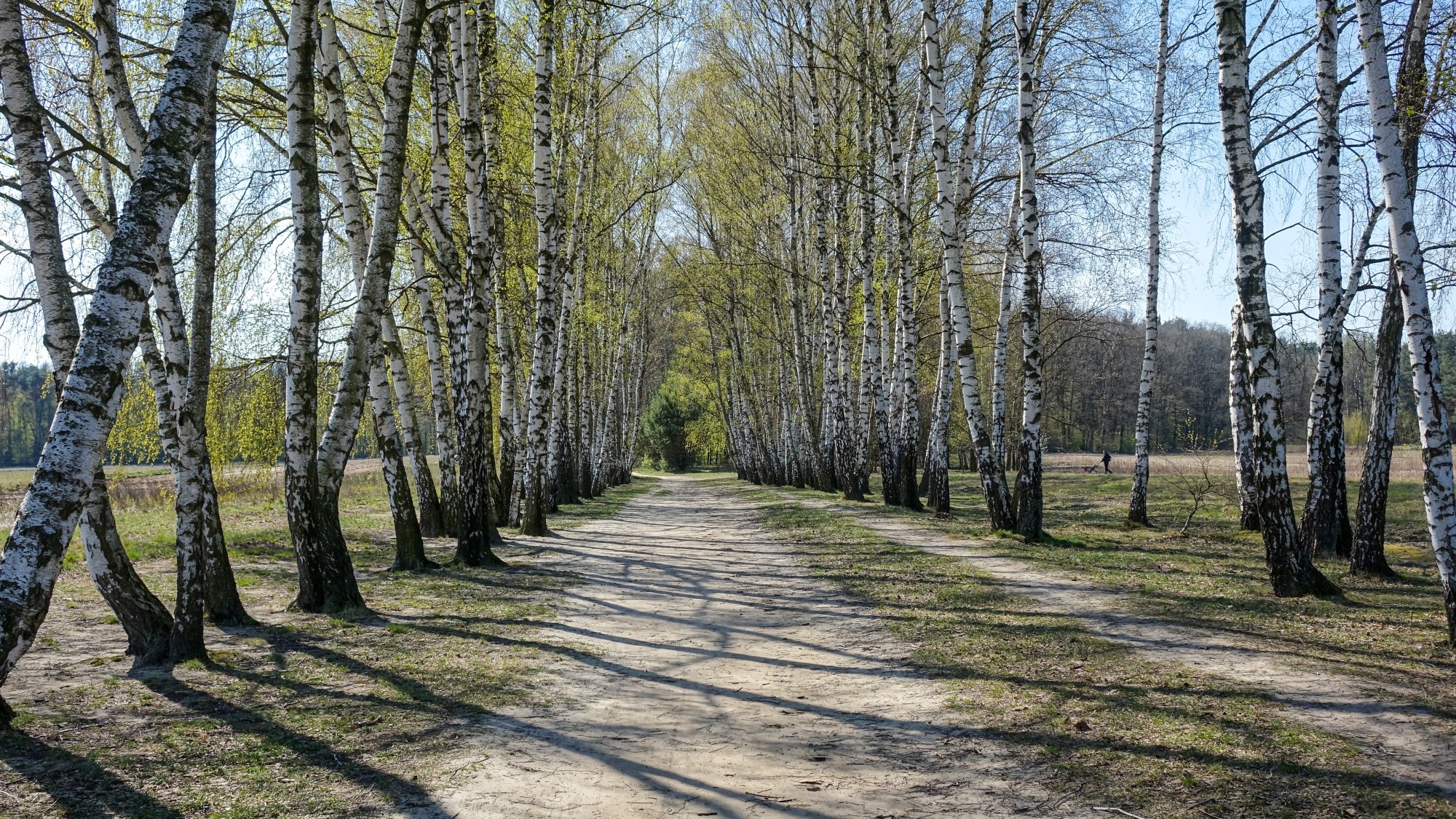 Całe piękno polskiej prowincji - zdjęcie 101