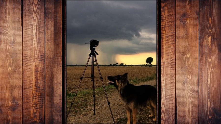 Fot. Info Meteo - Elbląg / Specto Albert Gaik.