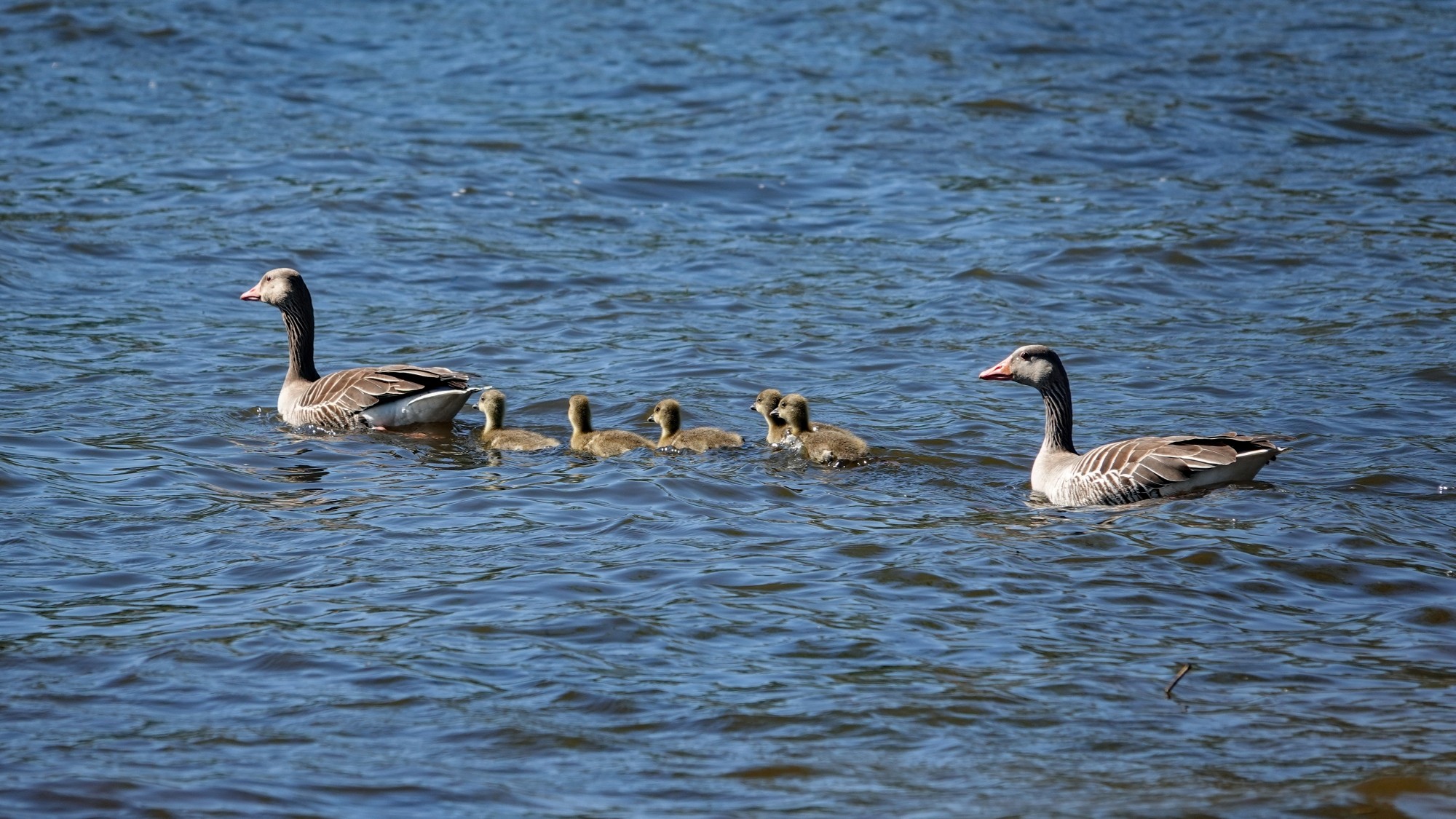 100 najpiękniejszych zdjęć 2021 roku - zdjęcie 58