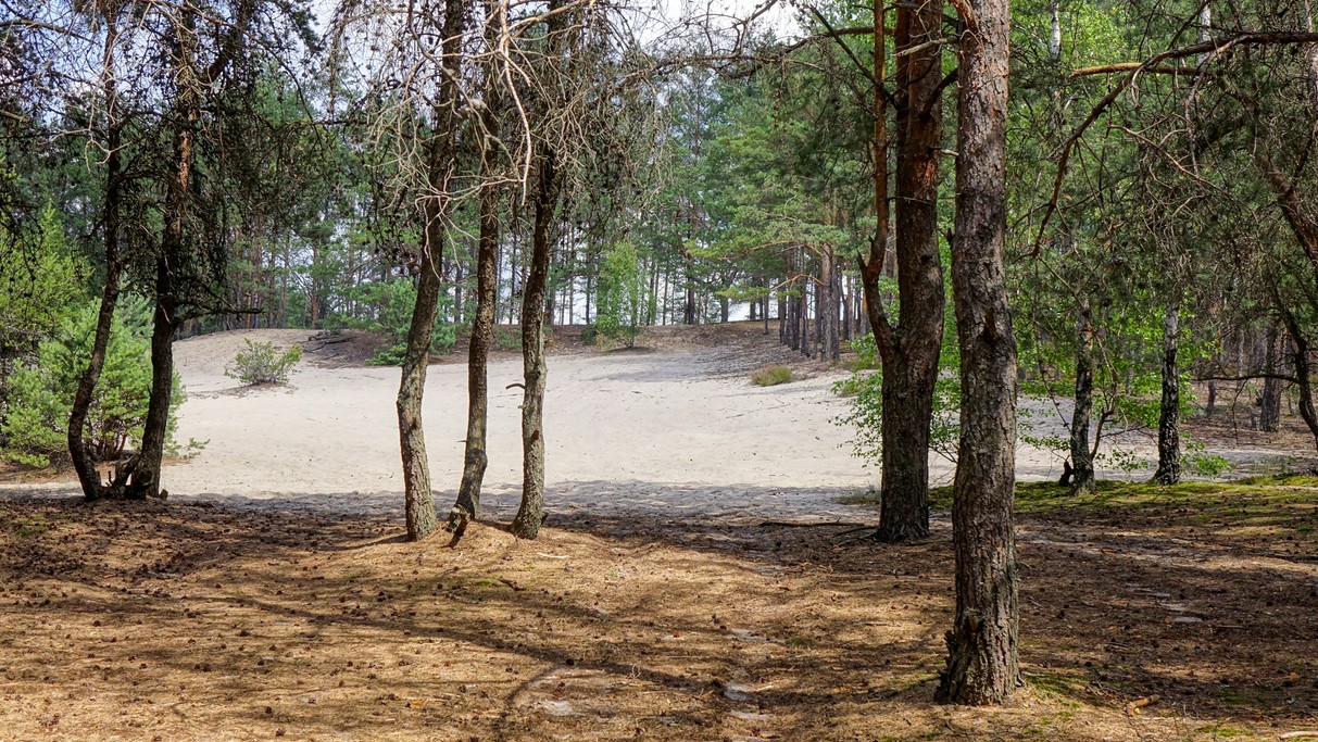 Czerwiec w obiektywie - zdjęcie 8