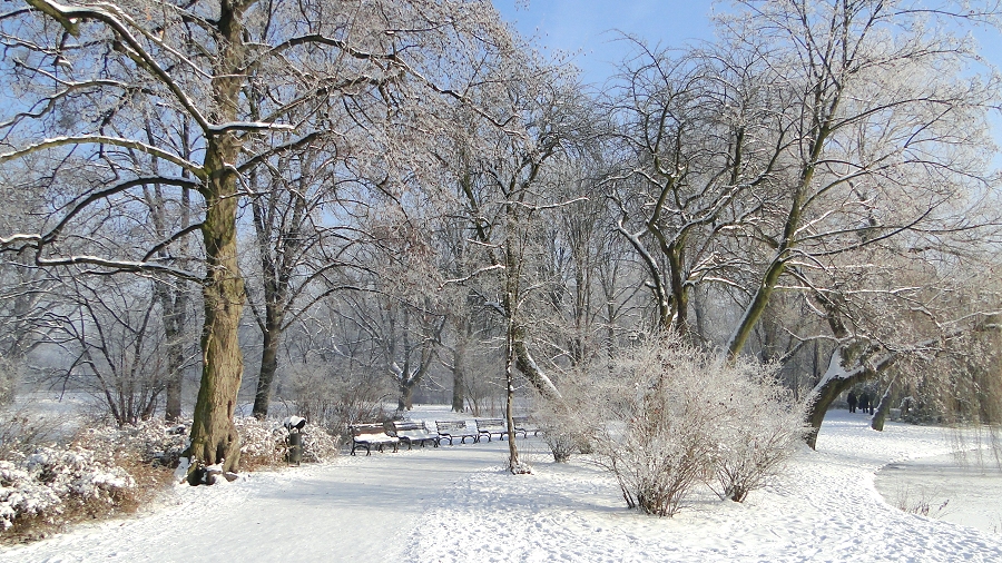 20.01.2019 11:00 Prognoza 16-dniowa: Co dalej z zimą w końcówce stycznia i na początku lutego? Sprawdź!