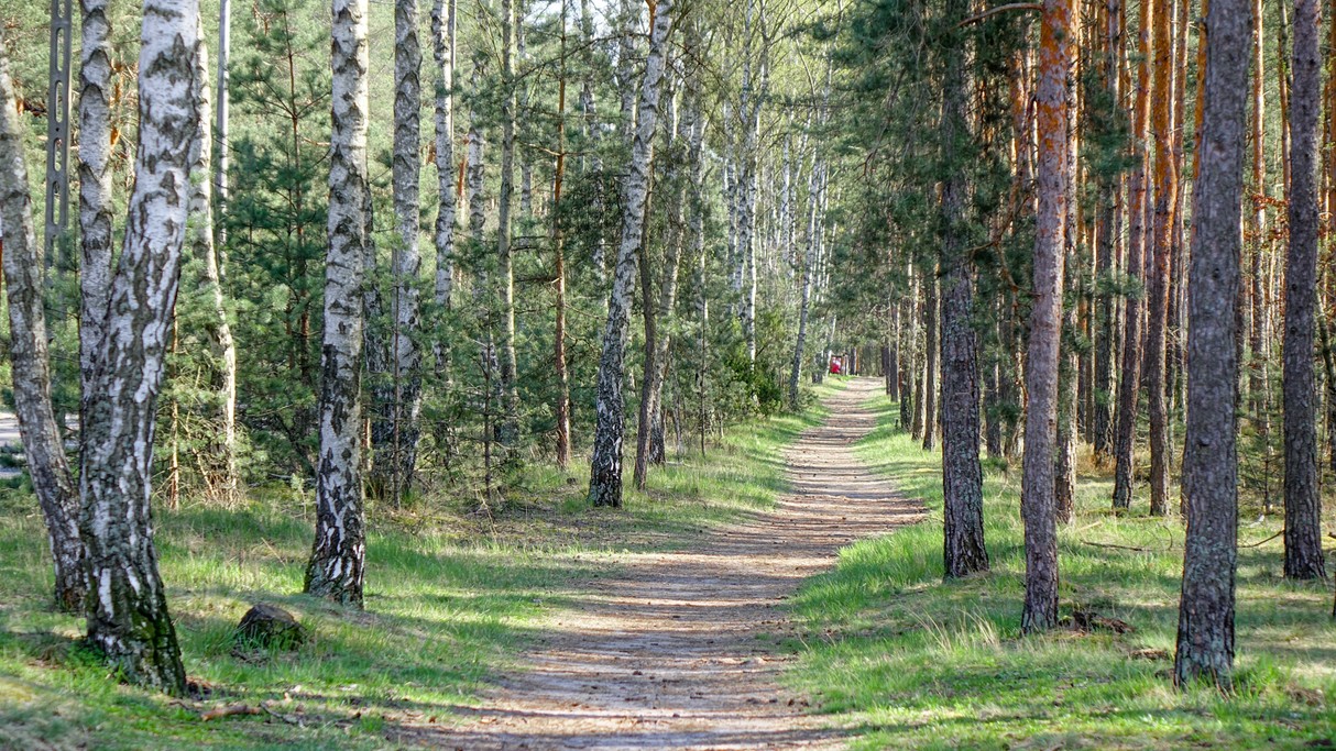 Kwiecień w obiektywie - zdjęcie 4