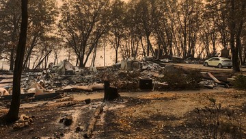 Całkowicie opanowano pożar lasów i zarośli w północnej Kalifornii