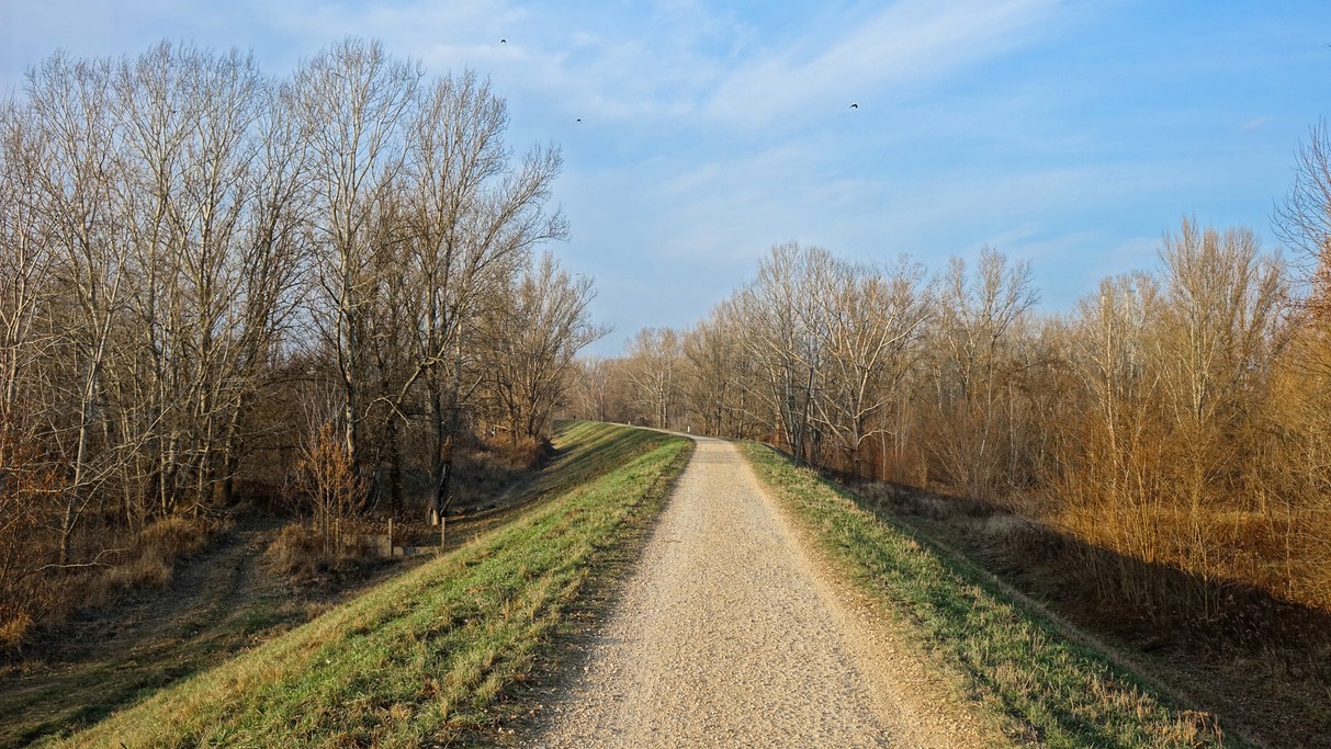 Styczeń w obiektywie - zdjęcie 19