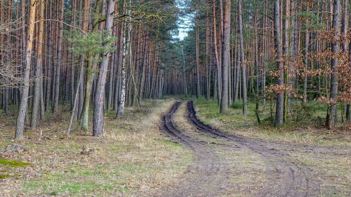 Styczeń w obiektywie - zdjęcie 21