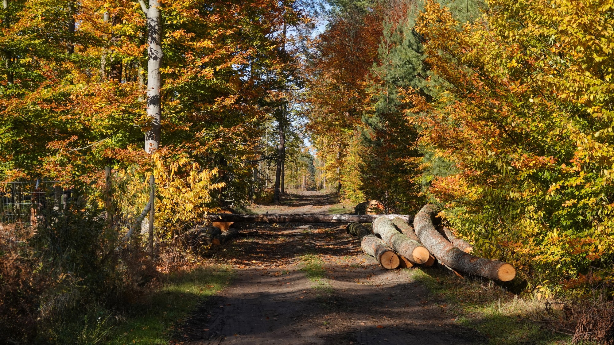 Jesienne klimaty - zdjęcie 44