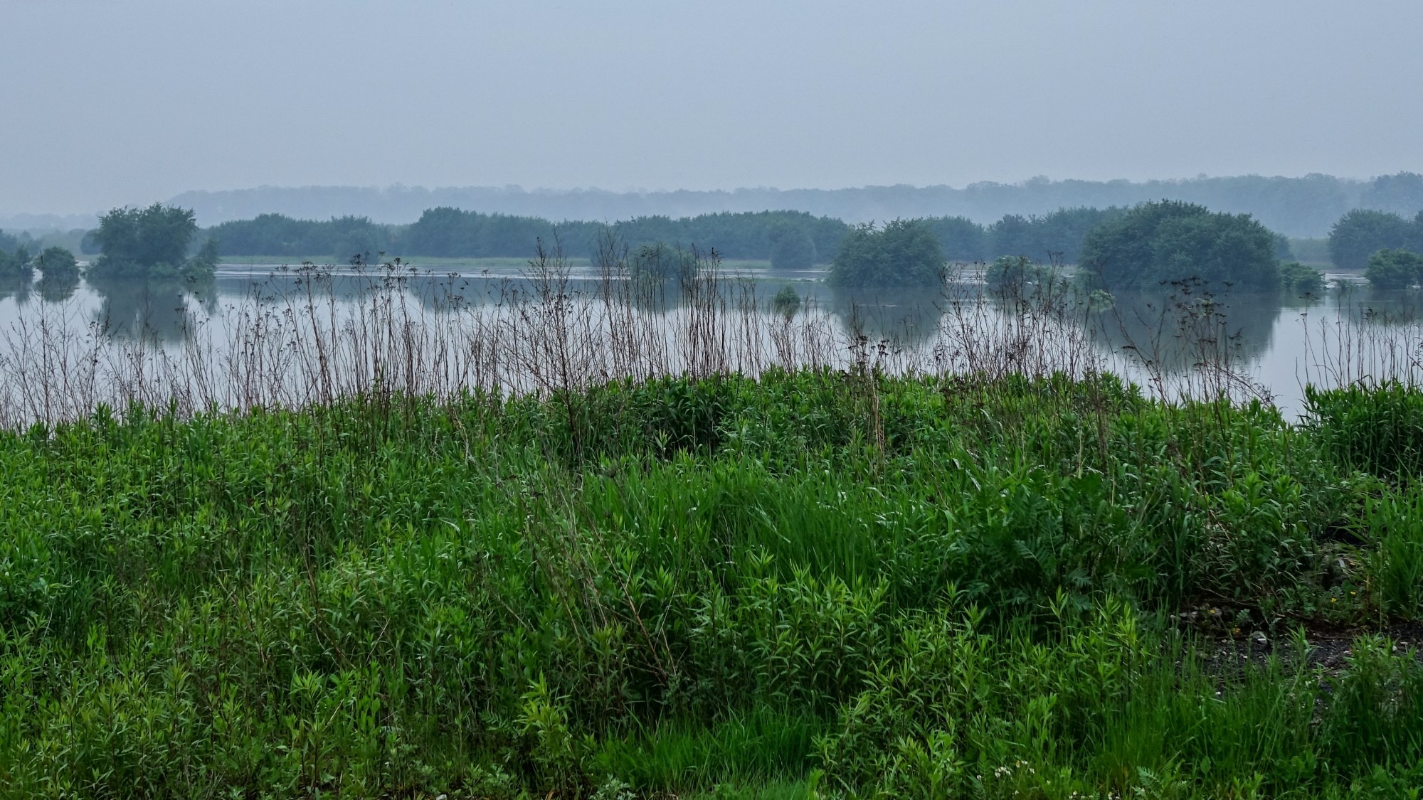 Maj w obiektywie - zdjęcie 65