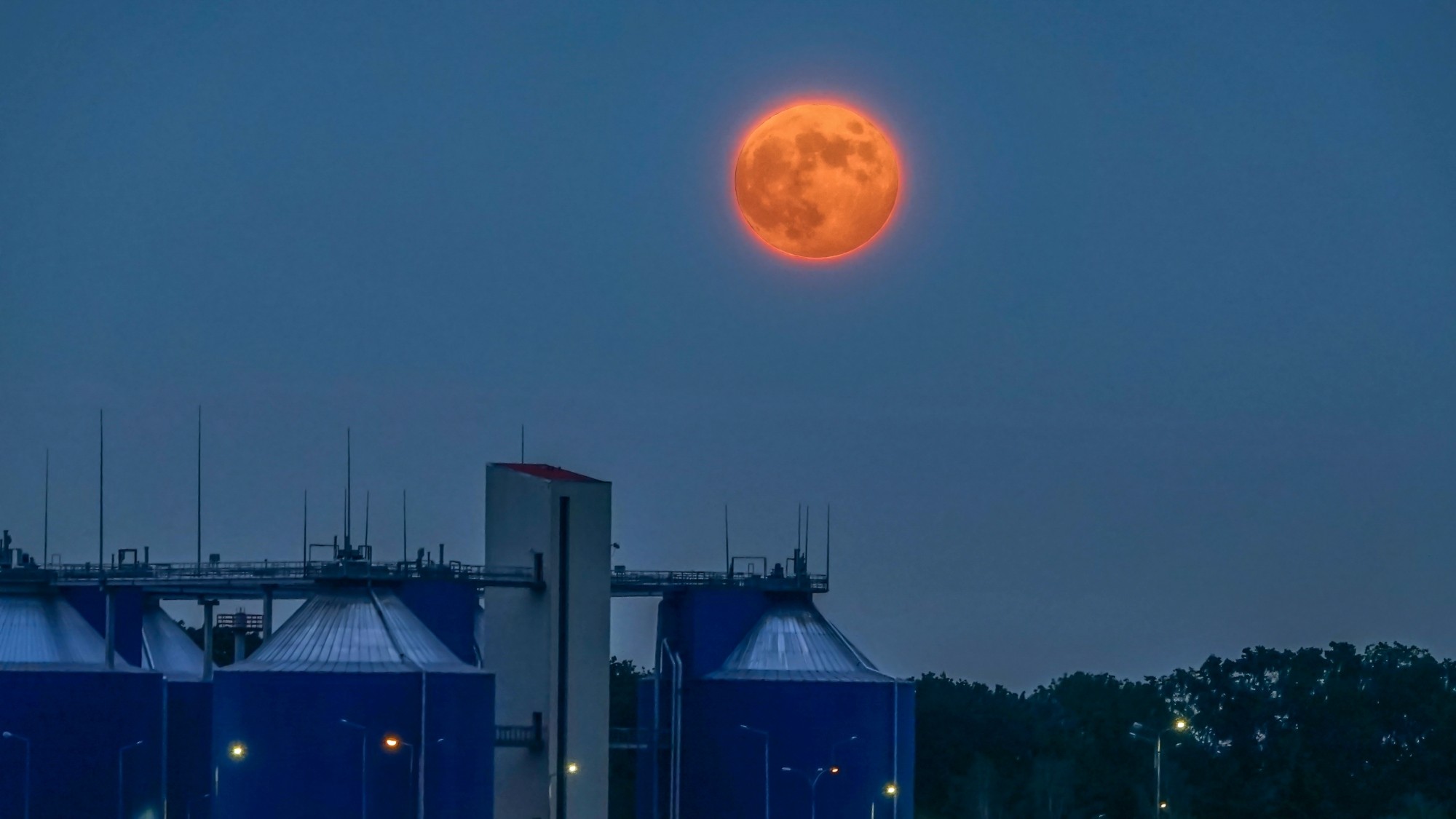 Uroki zielonej pory roku - zdjęcie 28