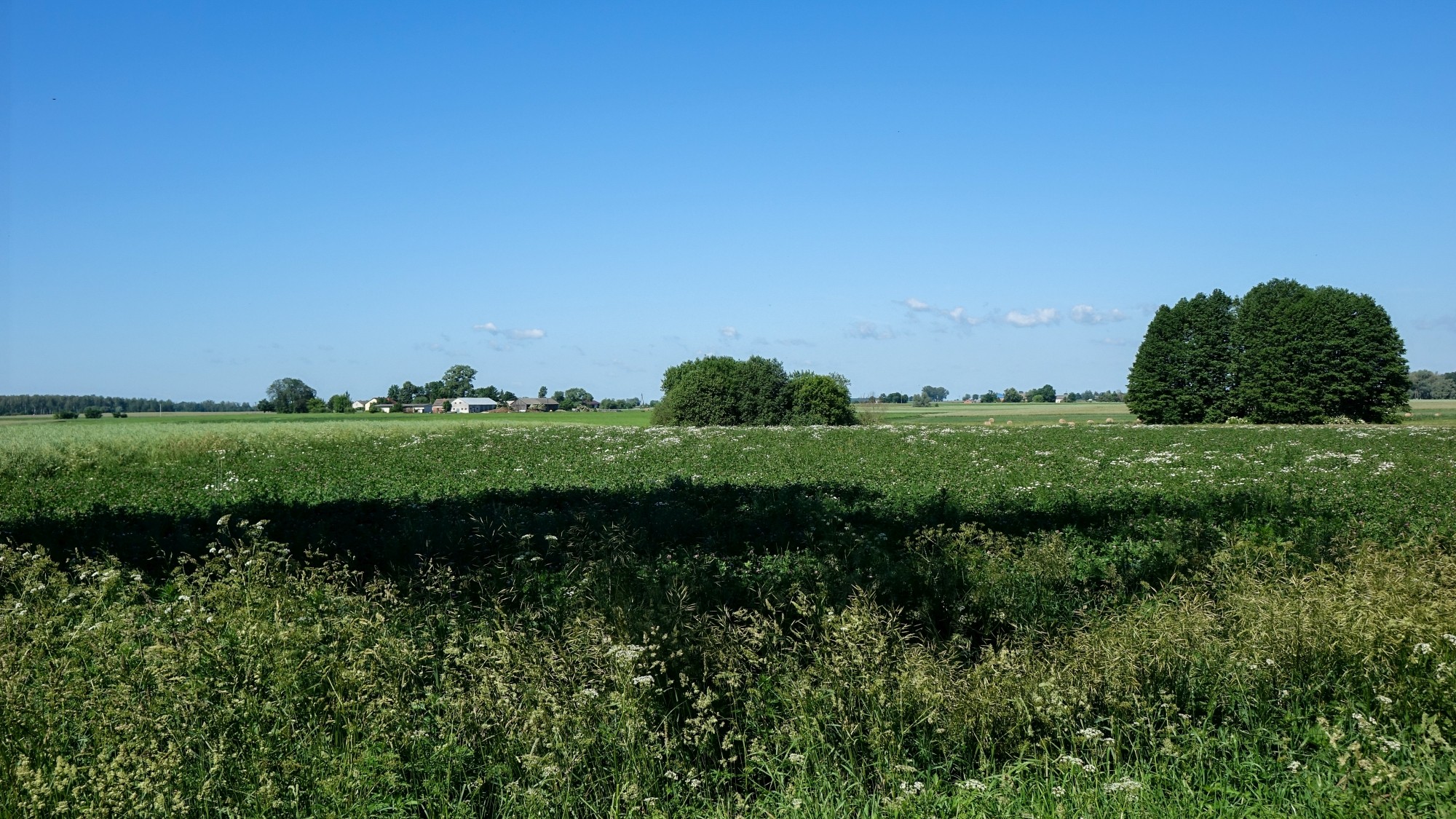 Czerwiec w obiektywie - zdjęcie 44