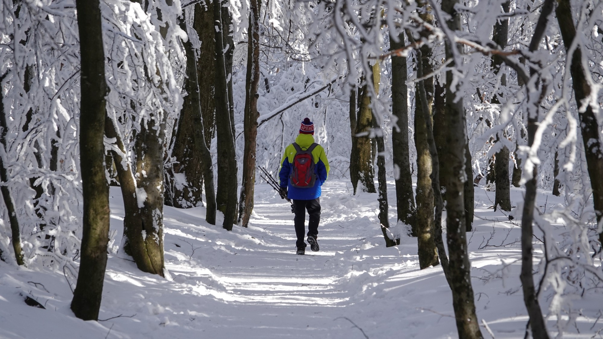 Kraina Narnii - zdjęcie 24