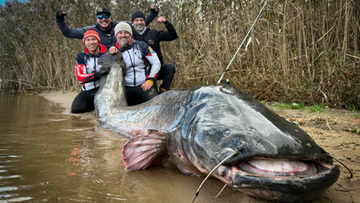 Rekord świata pobity w Polsce! Prawie 3-metrowa bestia wyciągnięta z wody