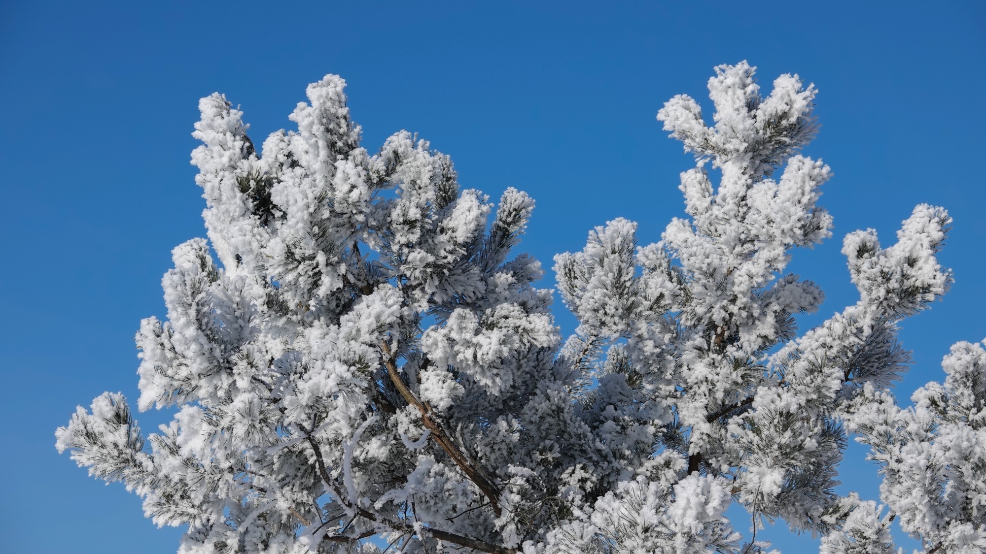 Kraina Narnii - zdjęcie 11