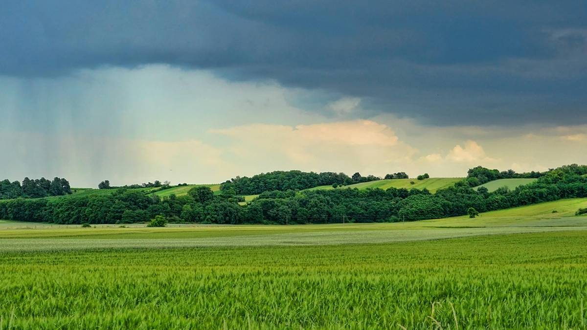 Żółte alerty pogodowe. Szczególnie zagrożony jeden region
