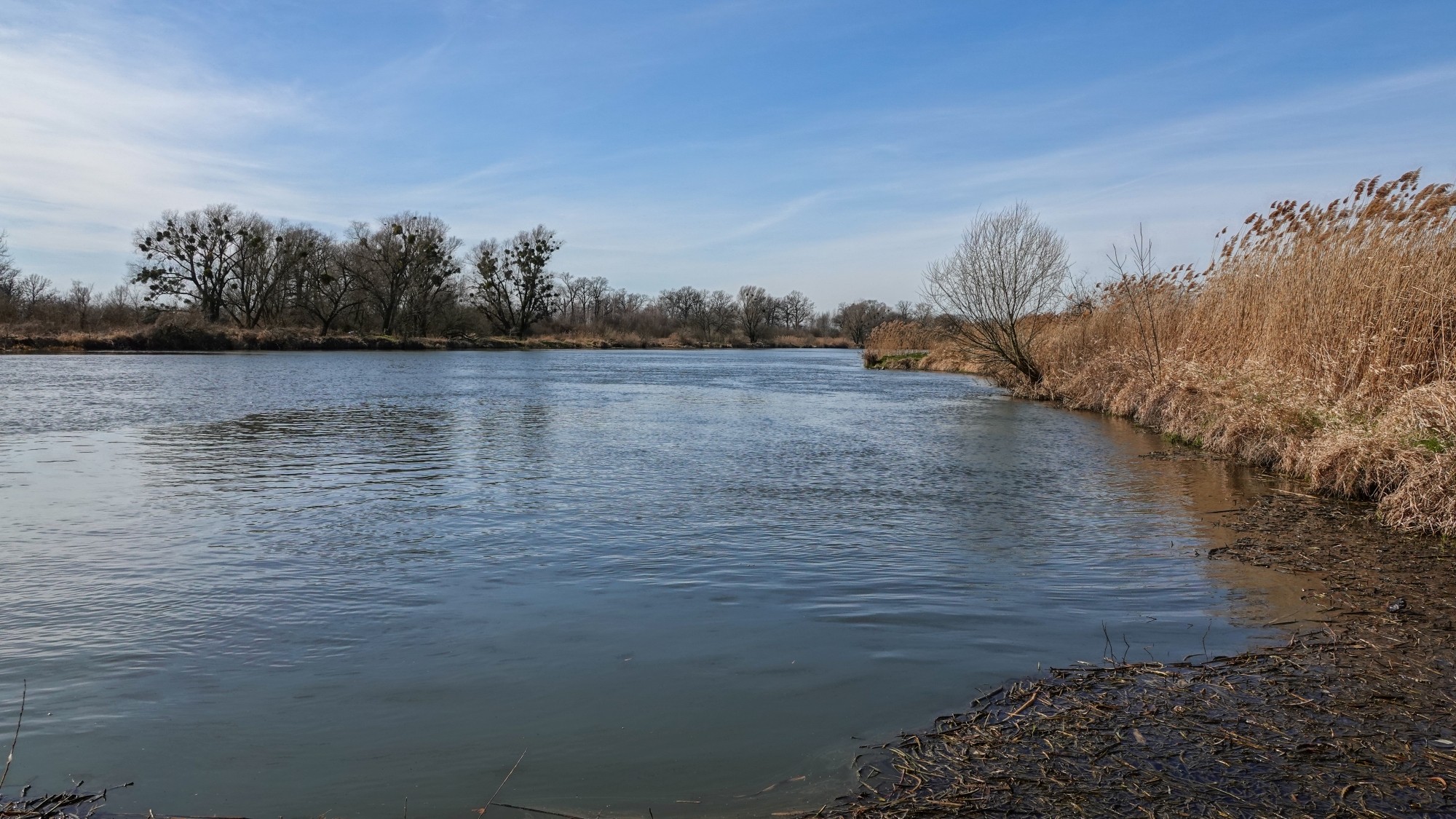 Marzec w obiektywie - zdjęcie 11