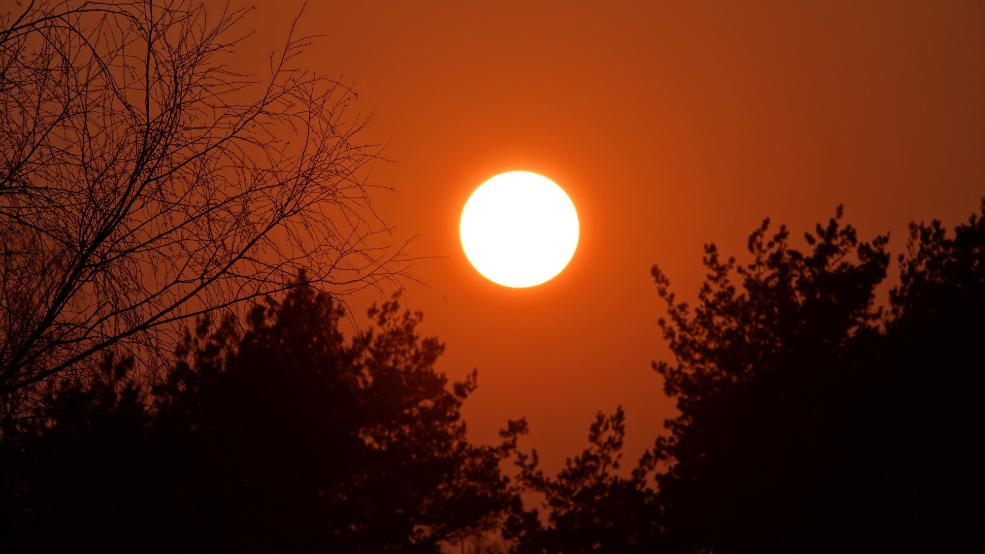 100 najpiękniejszych zdjęć 2020 roku - zdjęcie 72