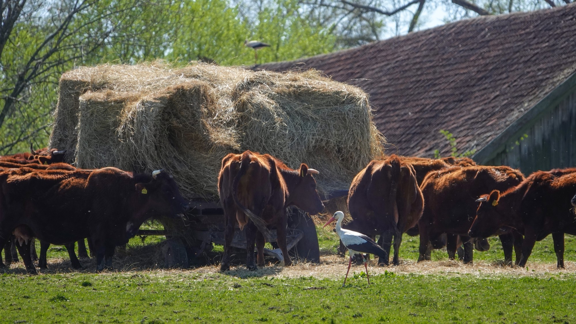 Od morza po góry - zdjęcie 35