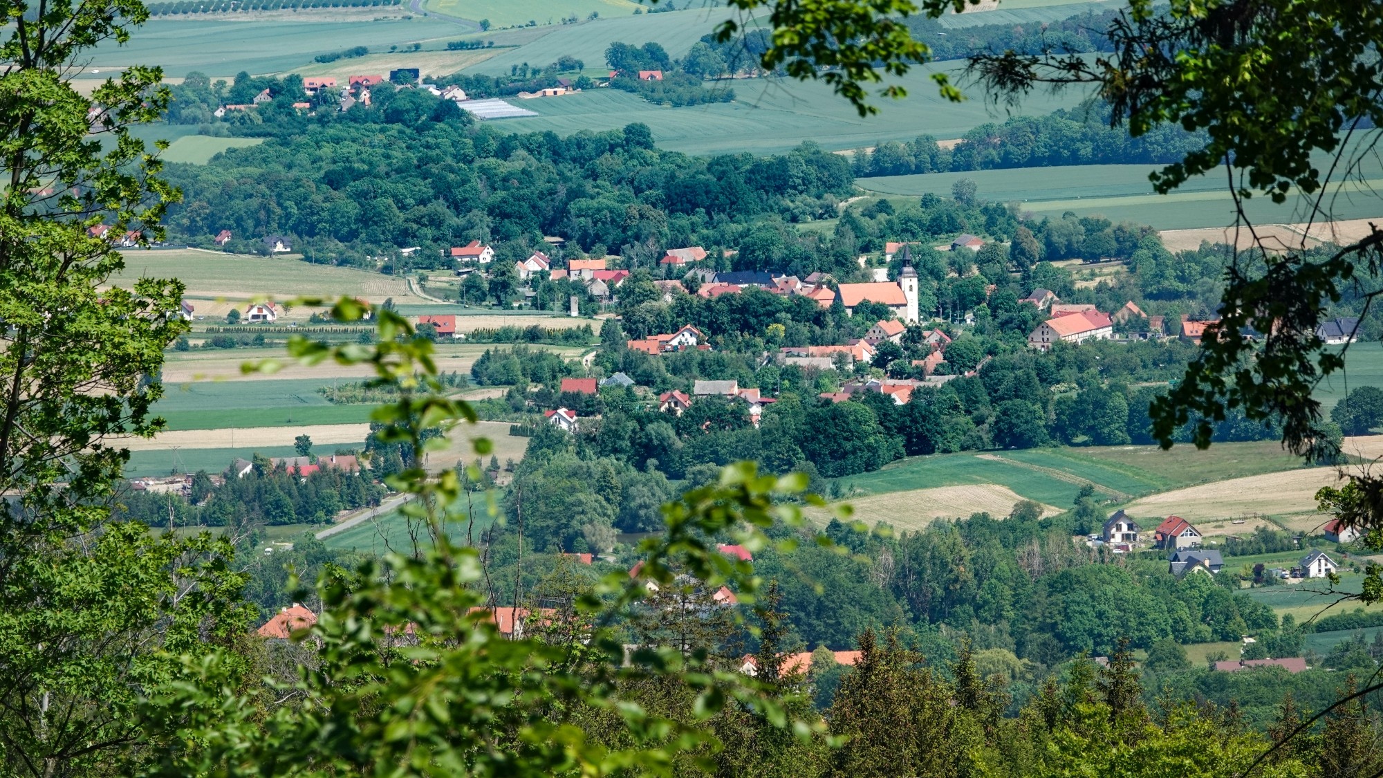 Uroki zielonej pory roku - zdjęcie 62