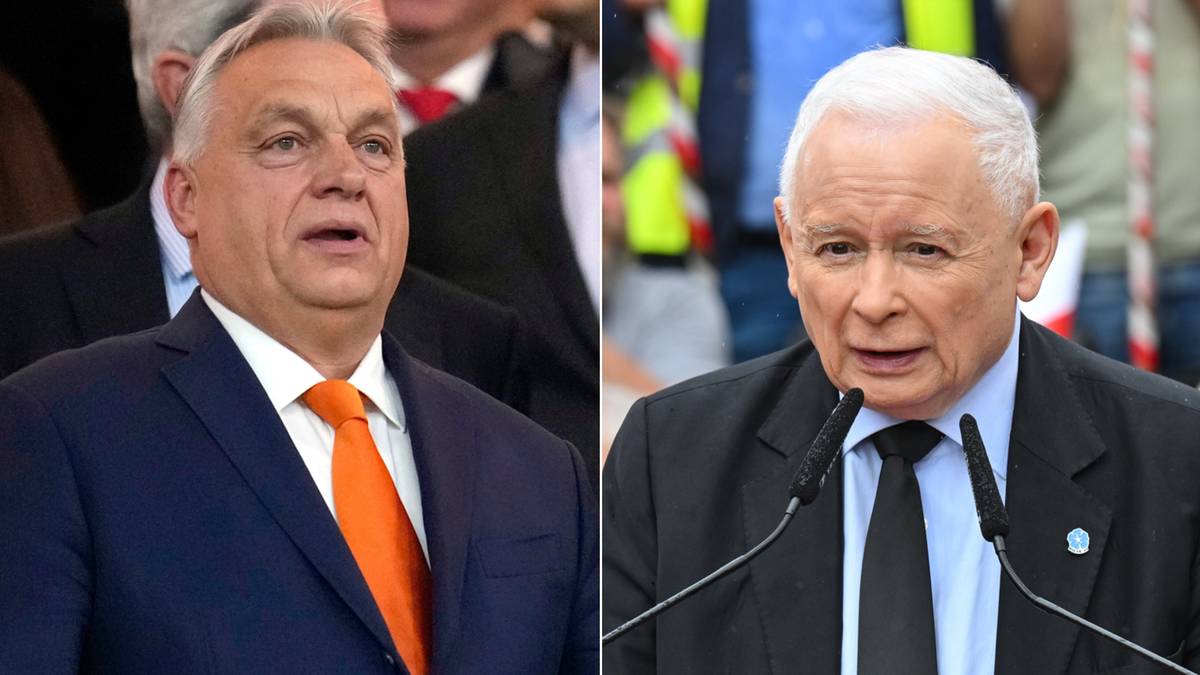 Will Jarosław Kaczyński meet with Viktor Orban? The spokesperson  of the Law and Justice organization  has spoken