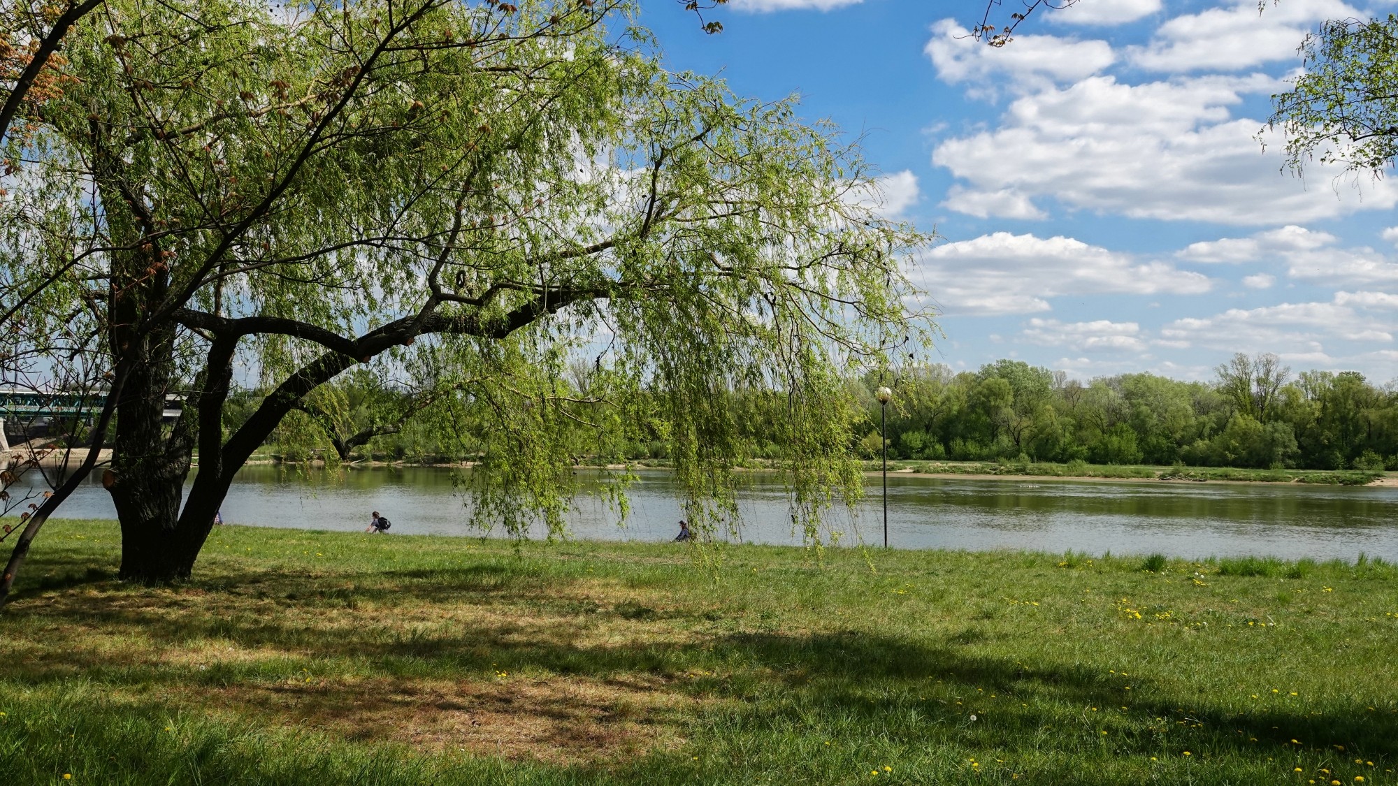 Kwiecień w obiektywie - zdjęcie 10