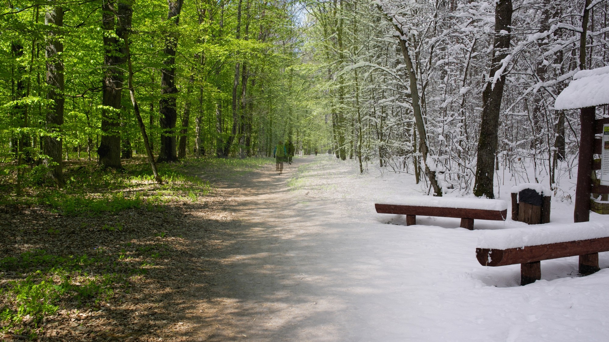 Porównanie wiosny i zimy - zdjęcie 16