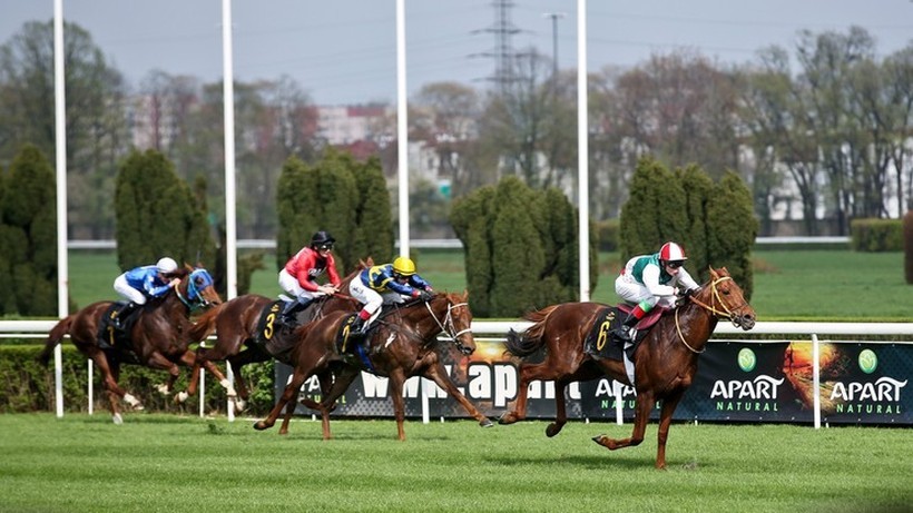 Pegasus World Cup perłą początku sezonu w światowych wyścigach konnych