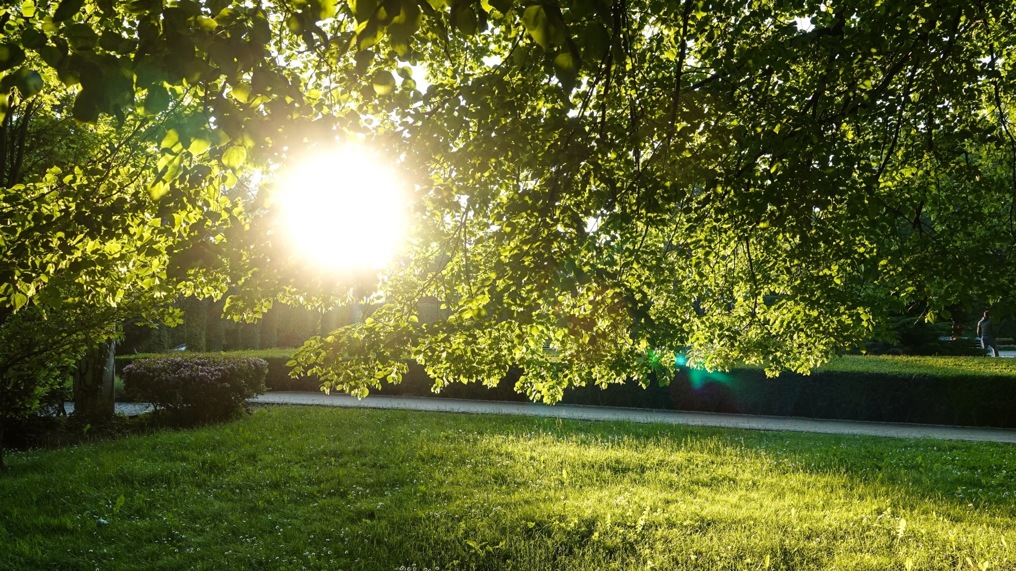 Uroki zielonej pory roku - zdjęcie 8