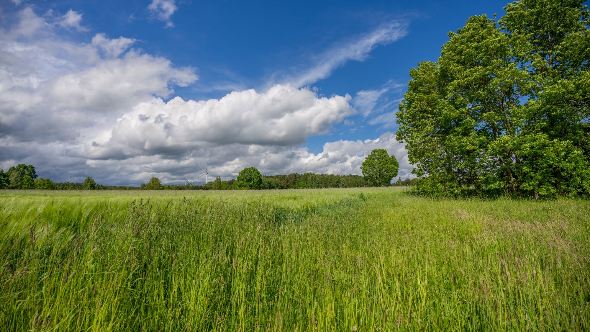 Lato na prowincji - zdjęcie 13