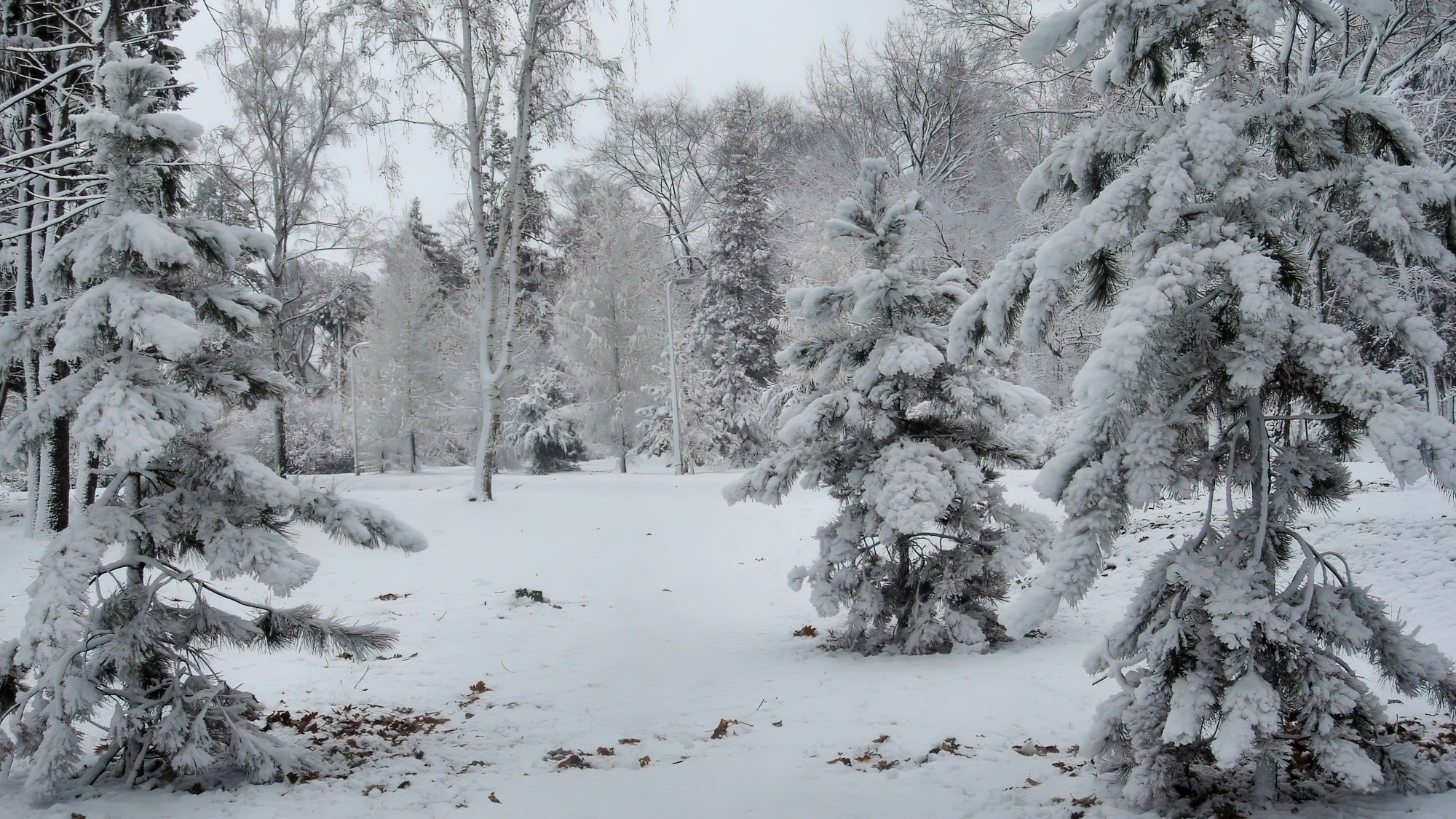 Śnieżne zimy sprzed lat - zdjęcie 9