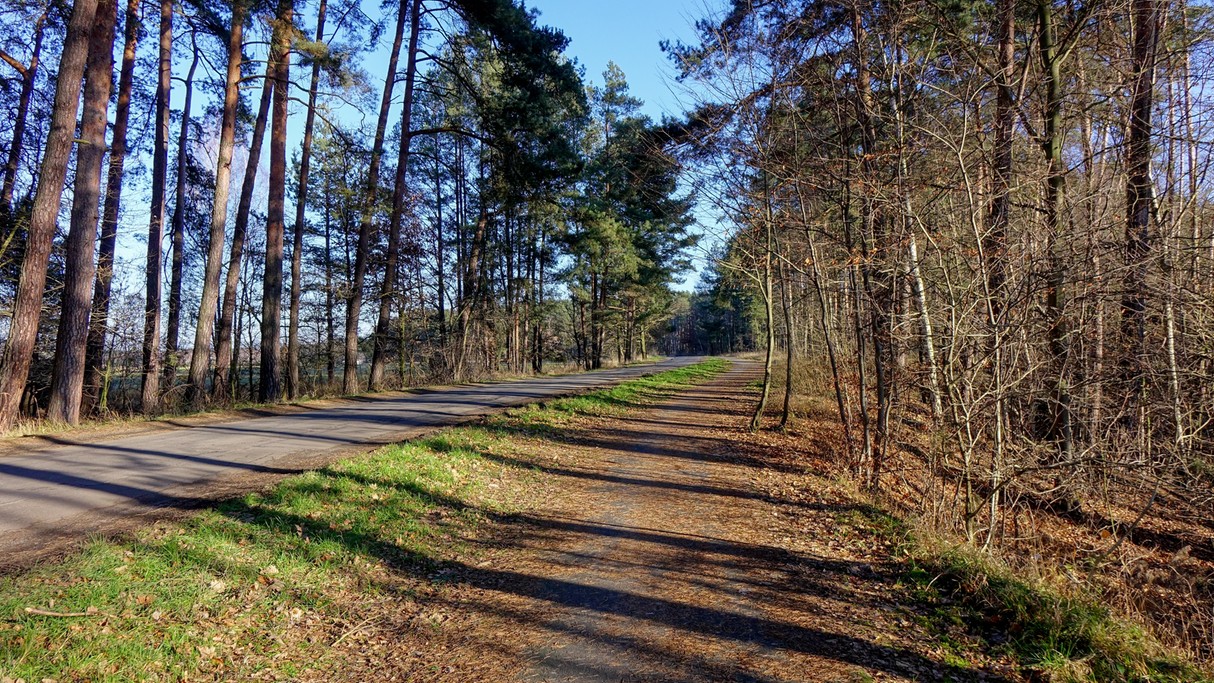 Grudzień w obiektywie - zdjęcie 11