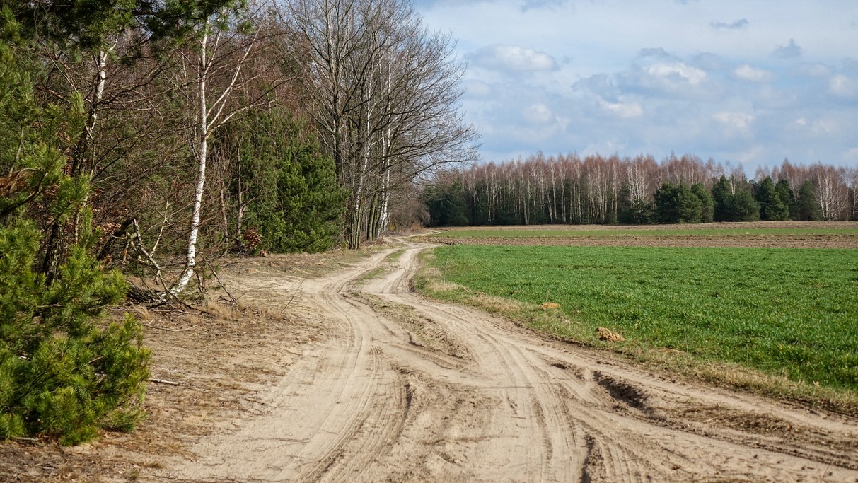 Marzec w obiektywie - zdjęcie 35