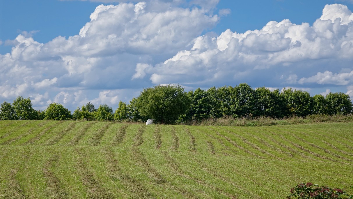 Sierpień w obiektywie - zdjęcie 25
