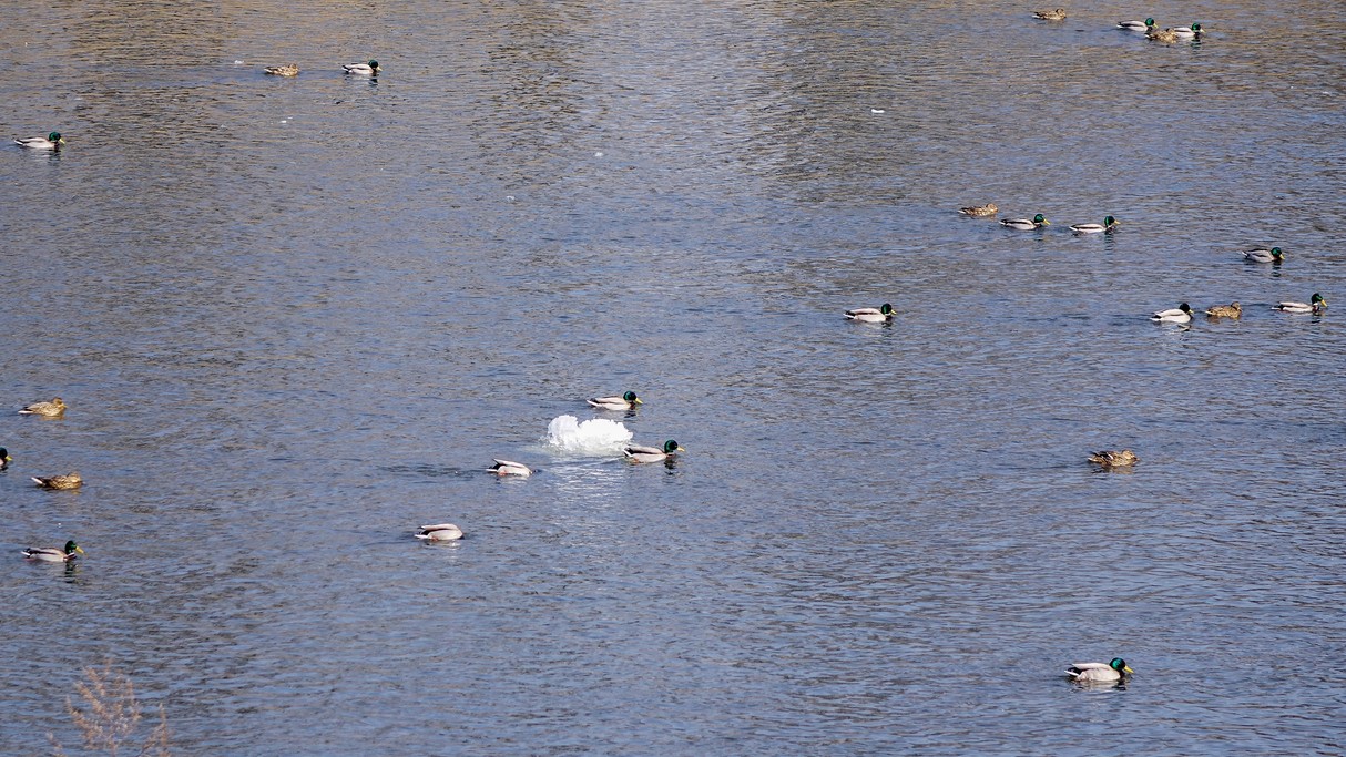 Luty w obiektywie - zdjęcie 48