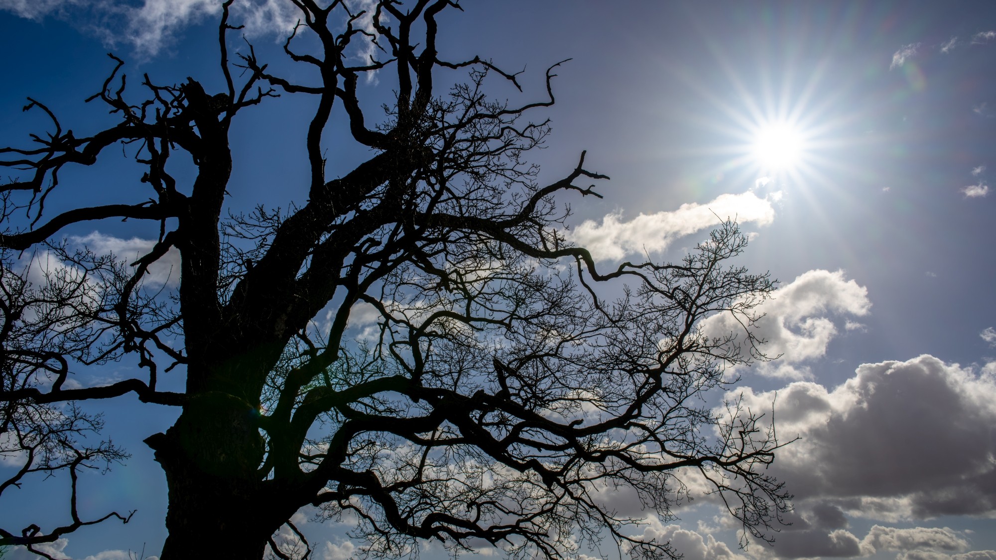 Wiosna coraz bliżej - zdjęcie 9