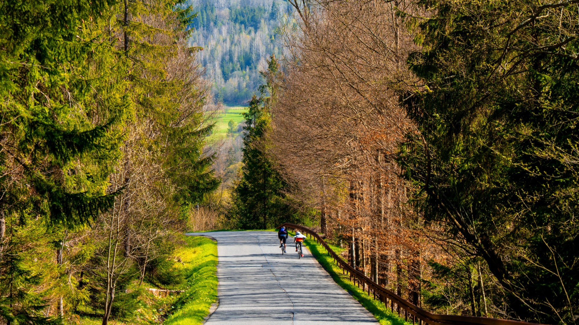 Zachwycający maj - zdjęcie 15