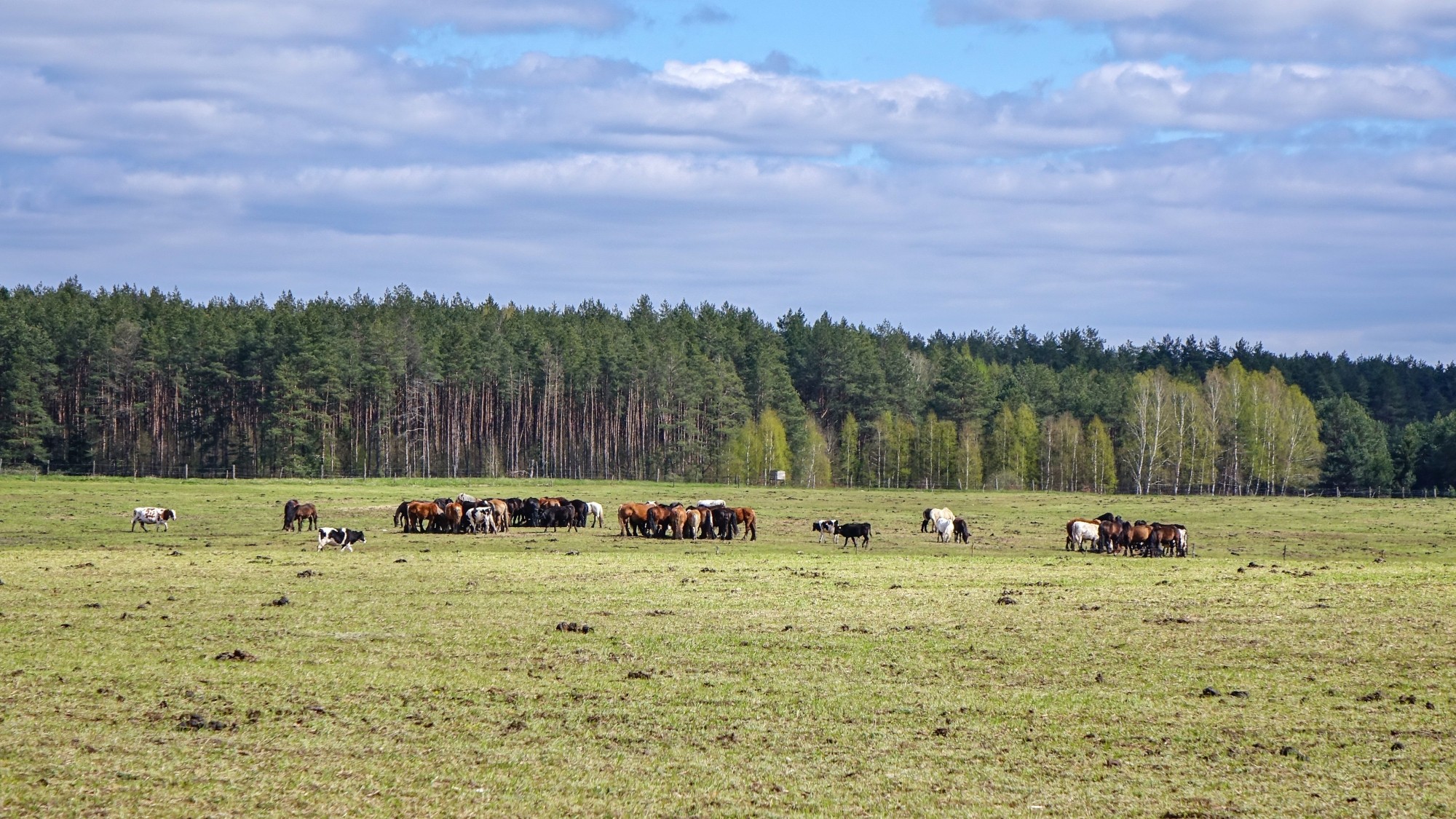 Marzec w obiektywie - zdjęcie 48