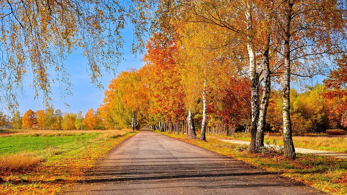 Nadchodzi babie lato. choćby 23 stopnie. Kiedy dokładnie?