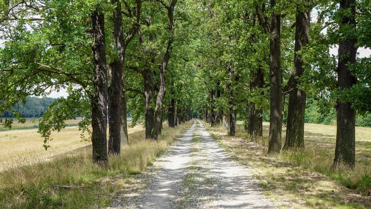 Czerwiec w obiektywie - zdjęcie 29