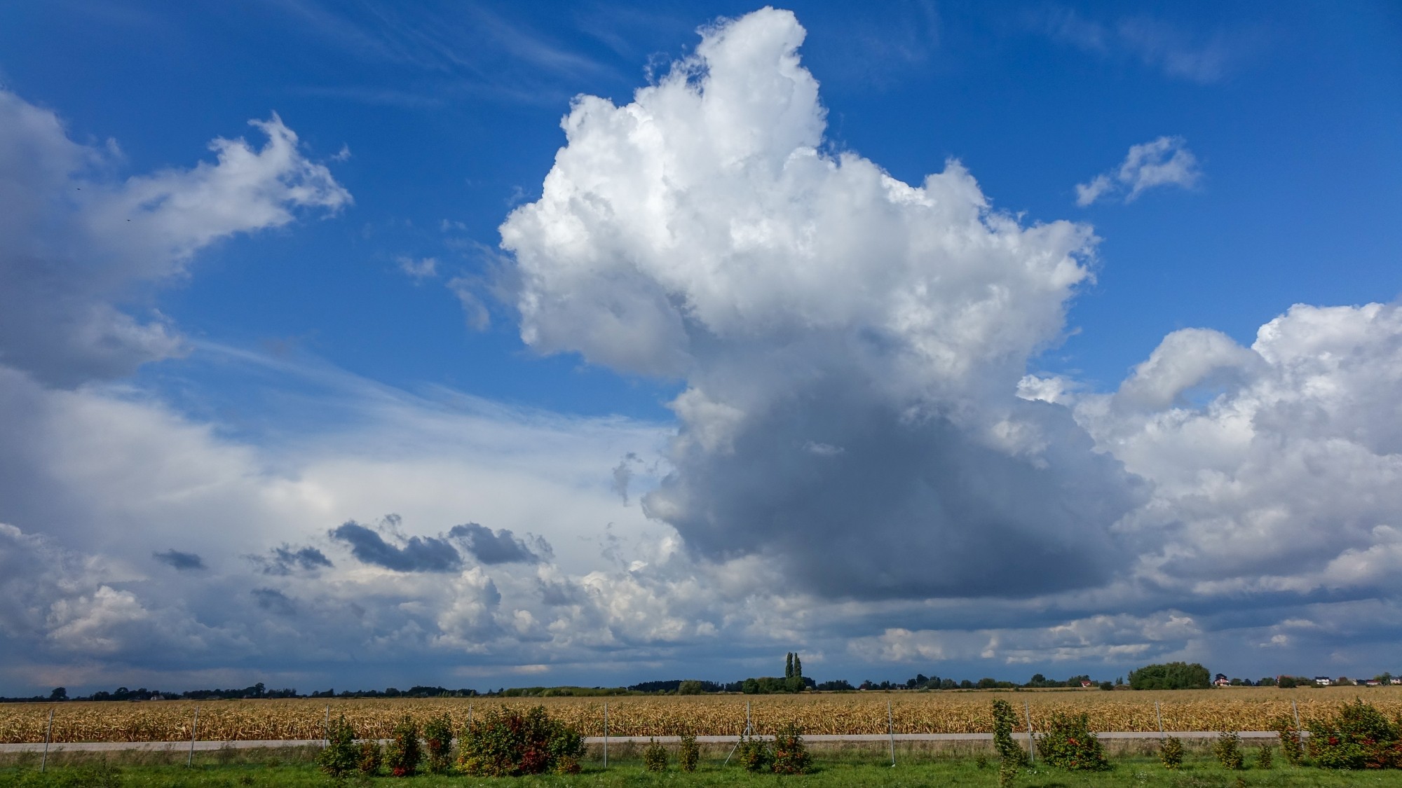 Wrzesień w obiektywie - zdjęcie 24