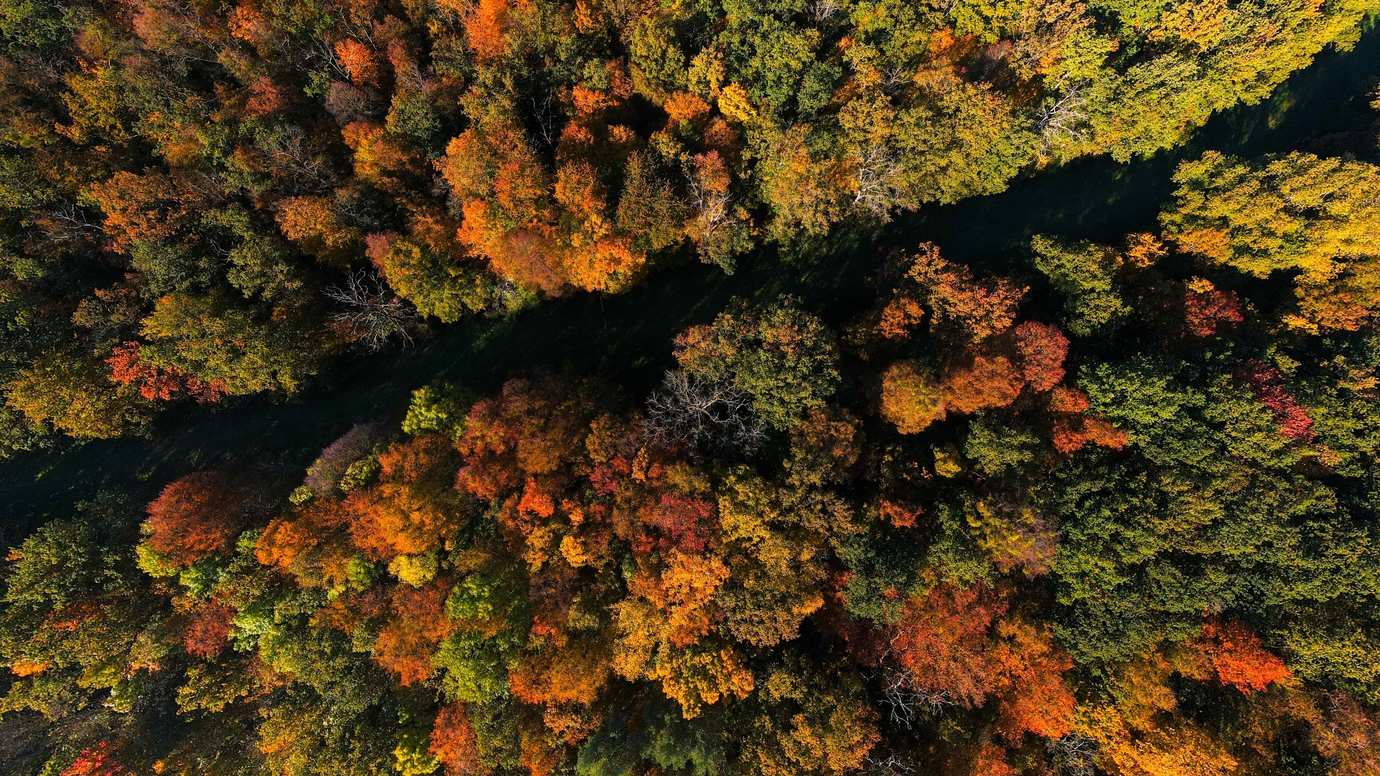 Jesień w Polsce z lotu ptaka - zdjęcie 25