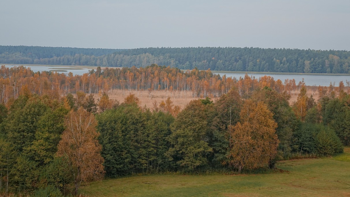 Barwy jesieni - zdjęcie 24